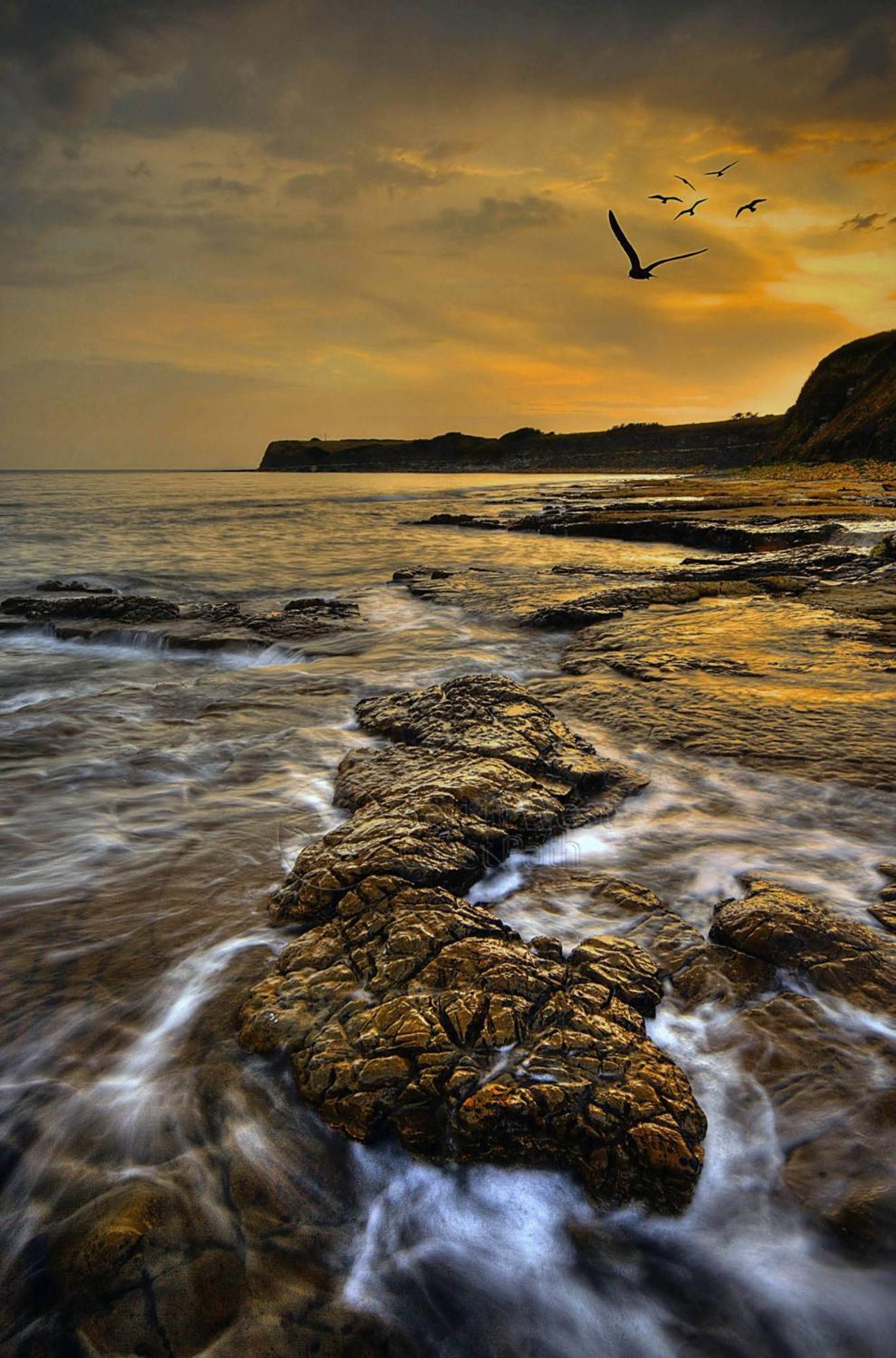 Home In Dorset, Near Jurassic Coast And Arne Вэрхэм Экстерьер фото